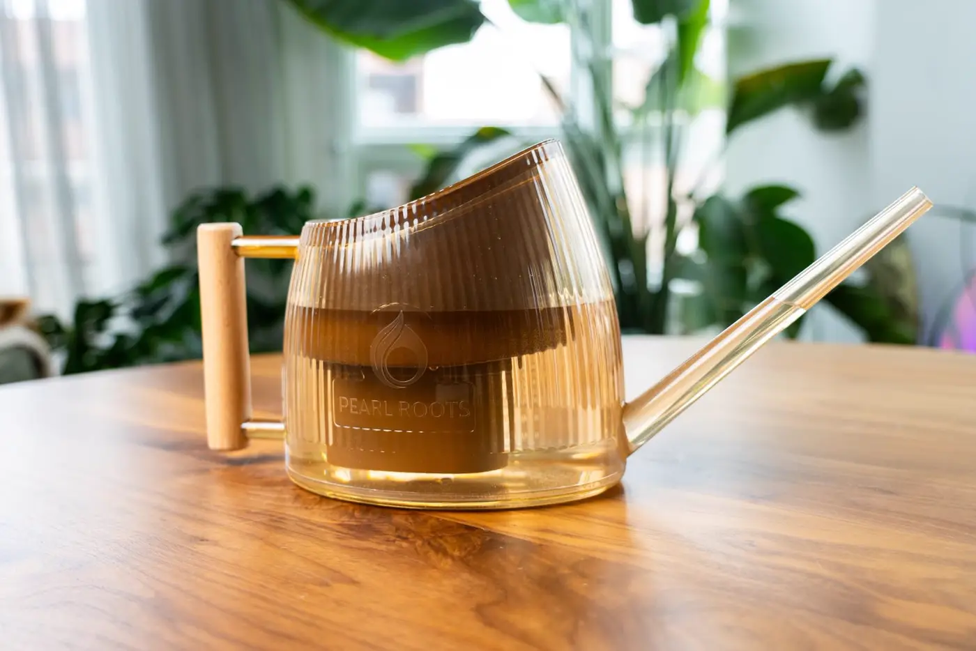 Watering Can With Filter and Remineralizer for House Plants 6