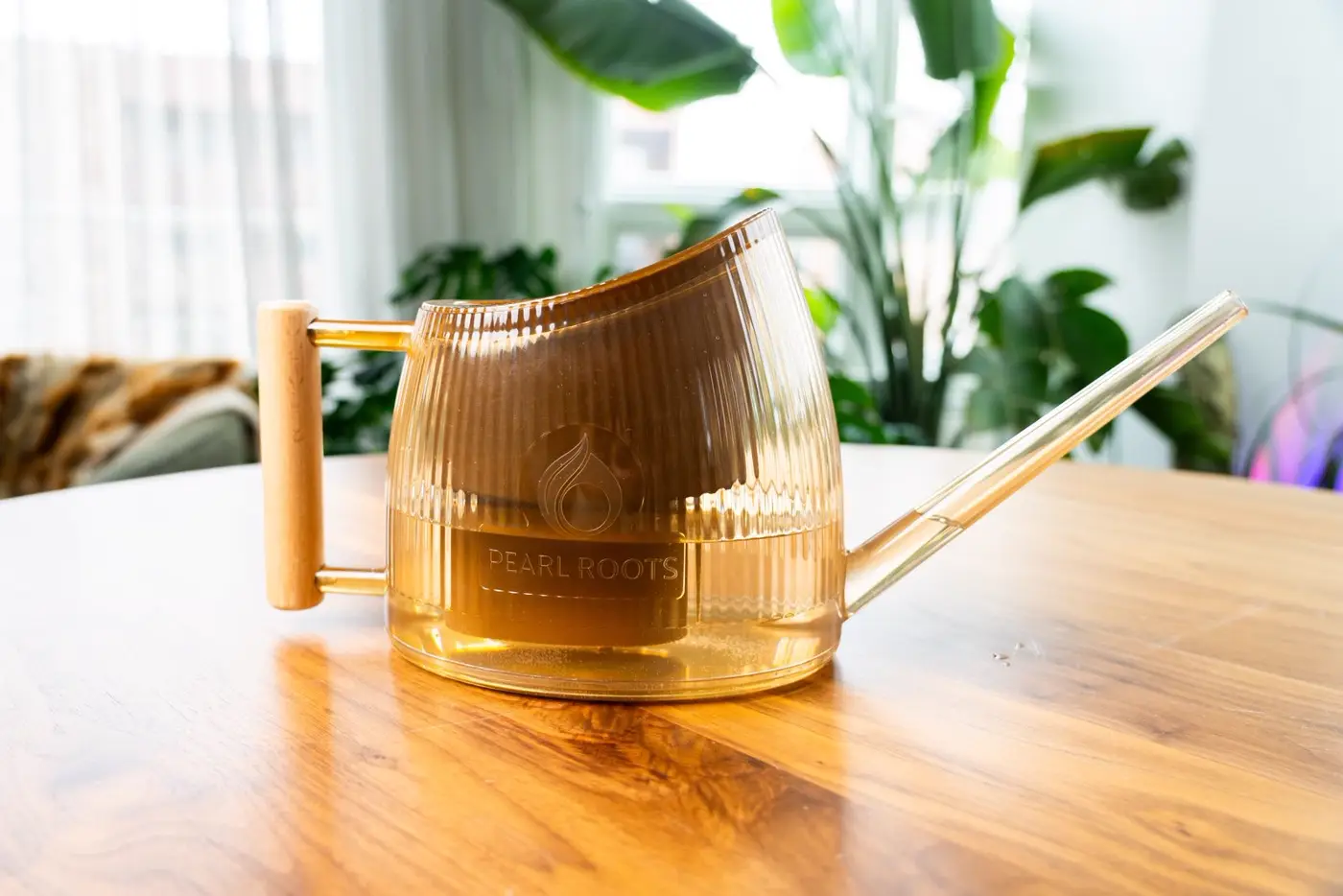 Clean water being poured to nourish a houseplant