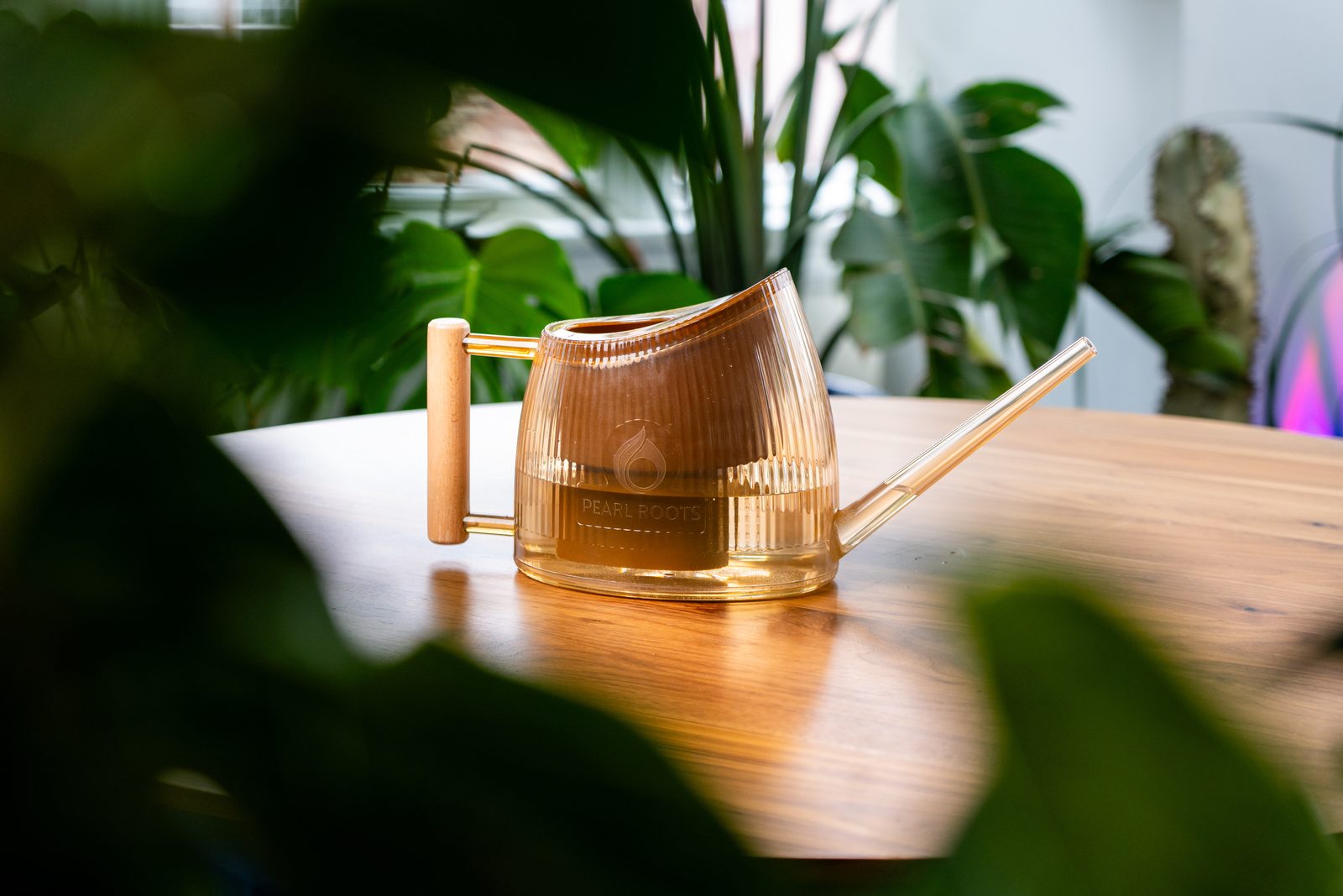 Clean filtered water being poured onto a houseplant