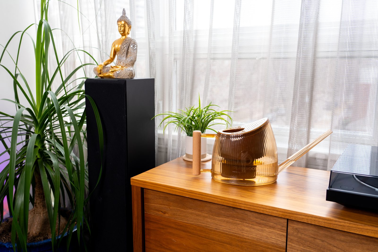 Why Clean, Chlorine-Free Water is Essential for Healthy Plants